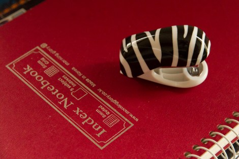 Adele surdouee temoignage-5