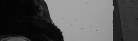 adele-surdouee-temoignage-2131